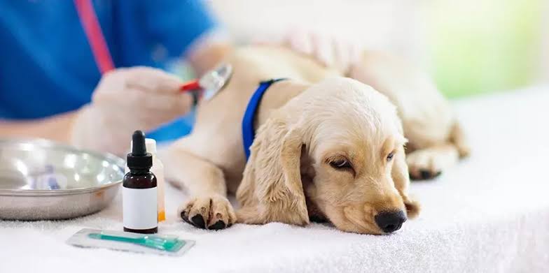 WhatsApp Image 2025-05-10 at 8.45.56 AM.jpeg